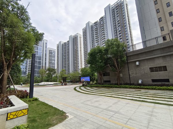 泉州丰泽东海湾东海湾门第星悦城旁 东海湾门第 3室2厅2卫  精装修