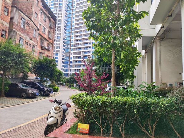 南宁西乡塘新阳新阳国际新阳国际 2室2厅1卫 52平 精装修 电梯房出租