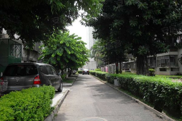 深圳二手房 红荔村 > 陈江文解读红荔村小区户型