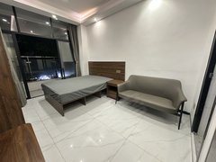深圳南山大学城(整租)西丽奢华小区精装一房,民水电家具齐全押一付一拎包入住出租房源真实图片