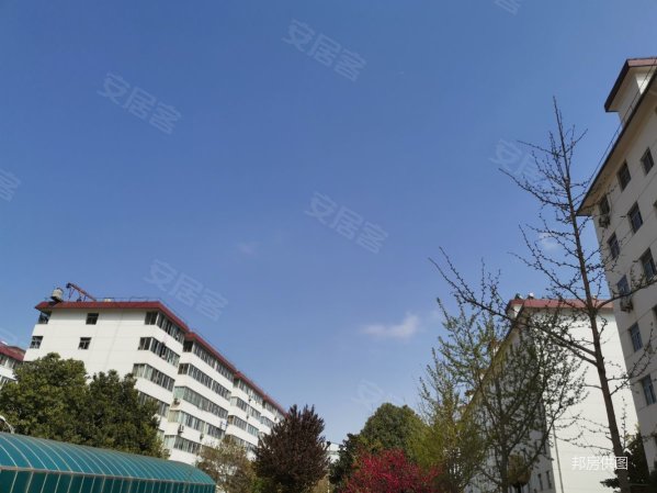 桥南 宝光路 锌业小区 2室2厅1卫 养老必备 好价位