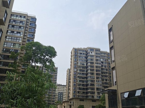 上海闵行七莘路碧林湾新苑二期12 线七莘路地铁口,全新小区独立一室户