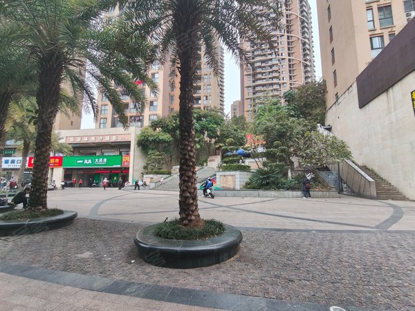 南宁兴宁望州岭香樟林望州路 香樟林 3房招租 小区环境好 配套成熟