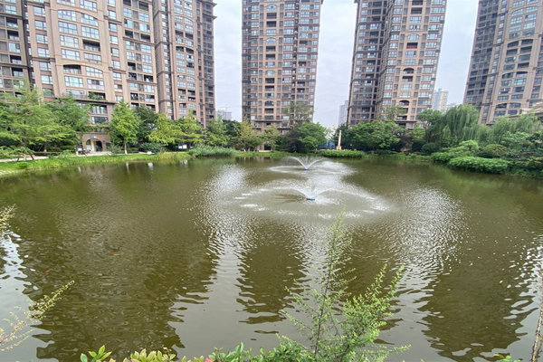 温江鹭湖宫11区图片