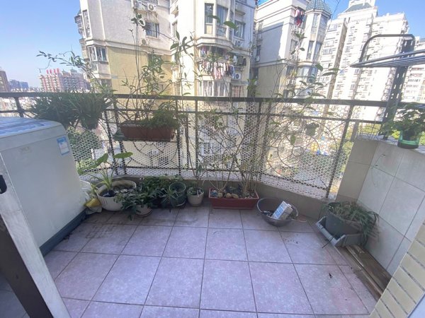 【多图】嘉鸿花园,工业大道南租房,嘉鸿花园 2室2厅1卫 配套齐全 65平