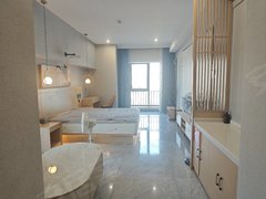 新乡红旗宝龙广场宝龙精装一室，边户 采光通风很好，可以付一，可以短租 随时看出租房源真实图片