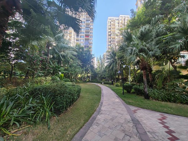 三亚吉阳水三千三亚棕榈滩(西区)1月新棕榈滩小区三房可长租短租崭新