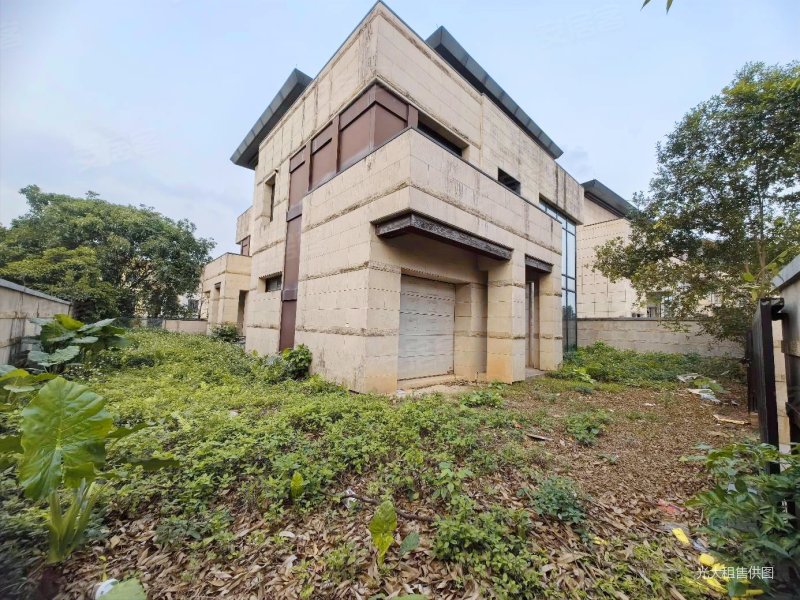 万科松山湖1号别墅