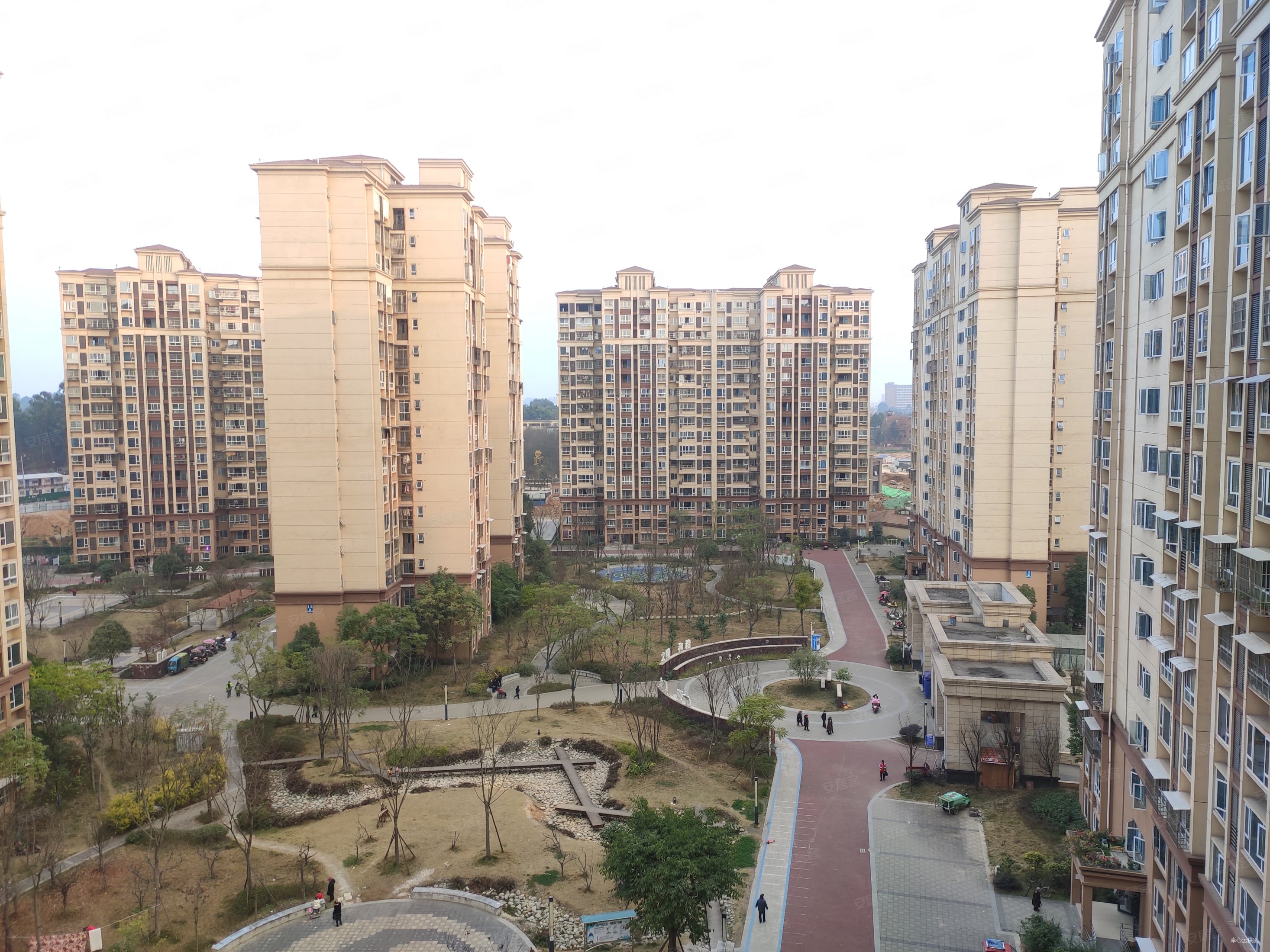 新津区政务中心对面 普兴五期电梯住宅 1室1厅 双阳台,新津区安置房5