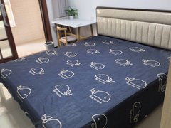 保定莲池保定高铁东站0押金 临博物馆，东湖公园，河北大学，附属医院，河大，动物馆出租房源真实图片