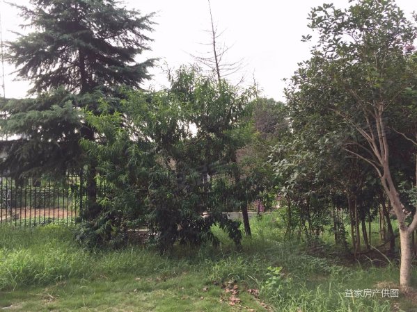 阳逻湖北大学旁东方佳园毛坯南北通透大2房仅