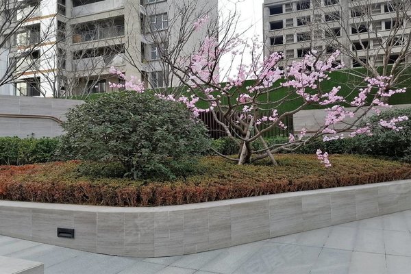 连盛国际大厦,江山中路156号-青岛连盛国际大厦二手房,租房-青岛安居