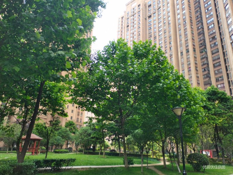 绿地伊顿公馆,精装修2房2厅1卫,41万,满二,无尾款