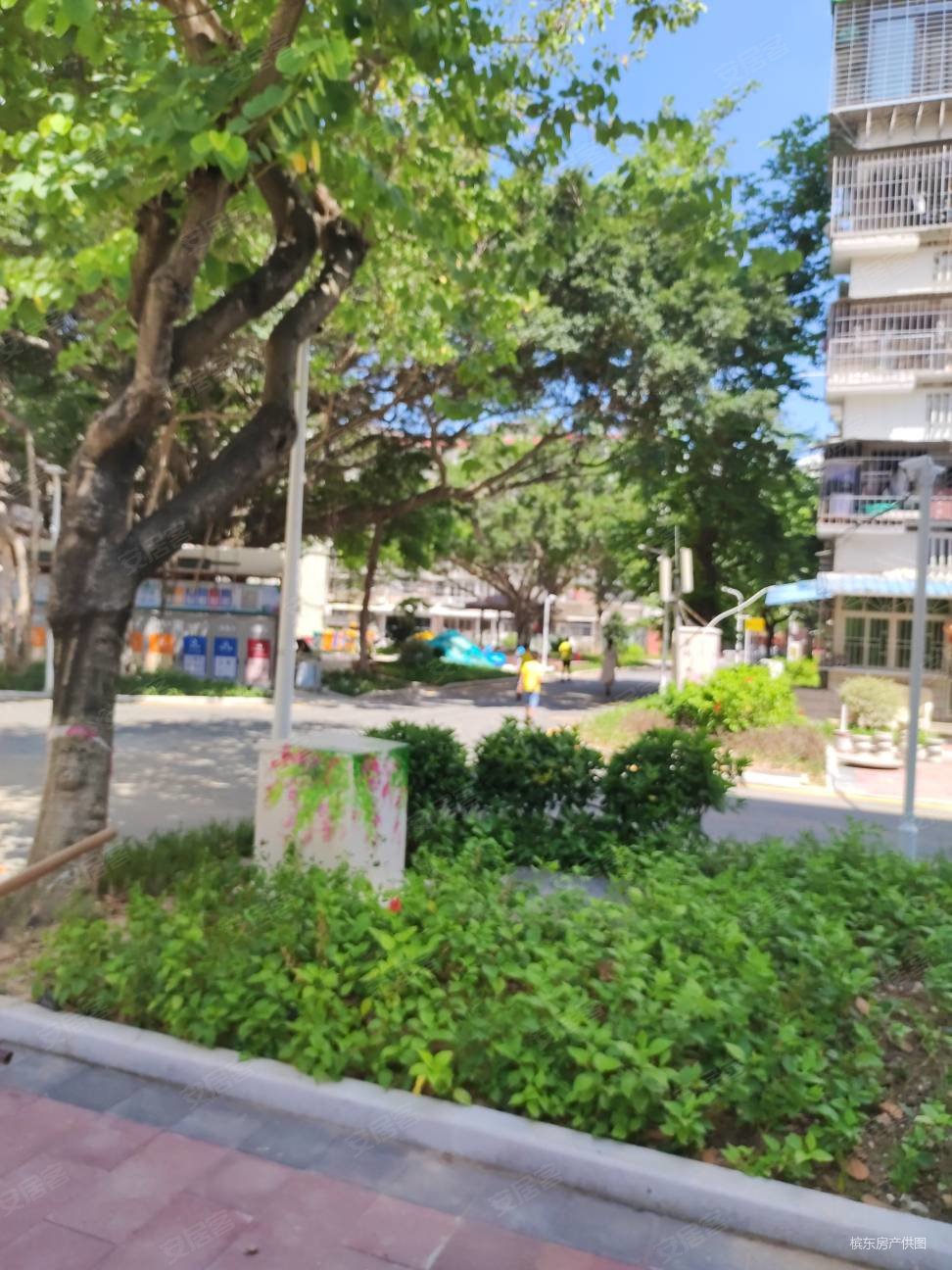 槟榔花园