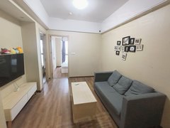 合肥滨湖新区滨湖世纪城滨湖新地城精装朝南两房 会展中心地铁口 看房方便 拎包入住出租房源真实图片