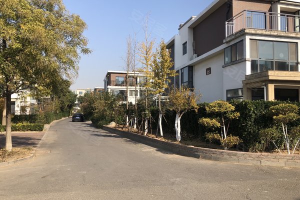 时代康桥(别墅)