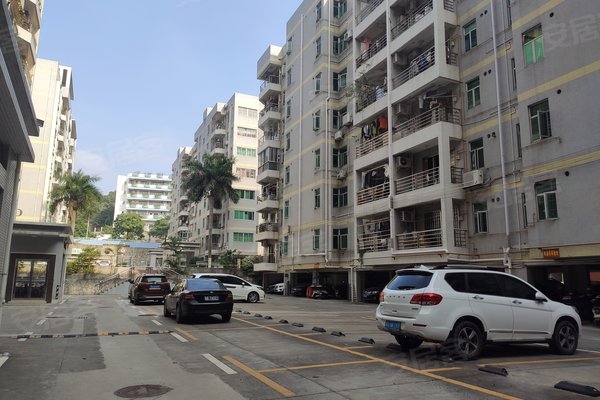 深圳小区 宝安小区 福永小区 金菊花园 金菊花园怎么样