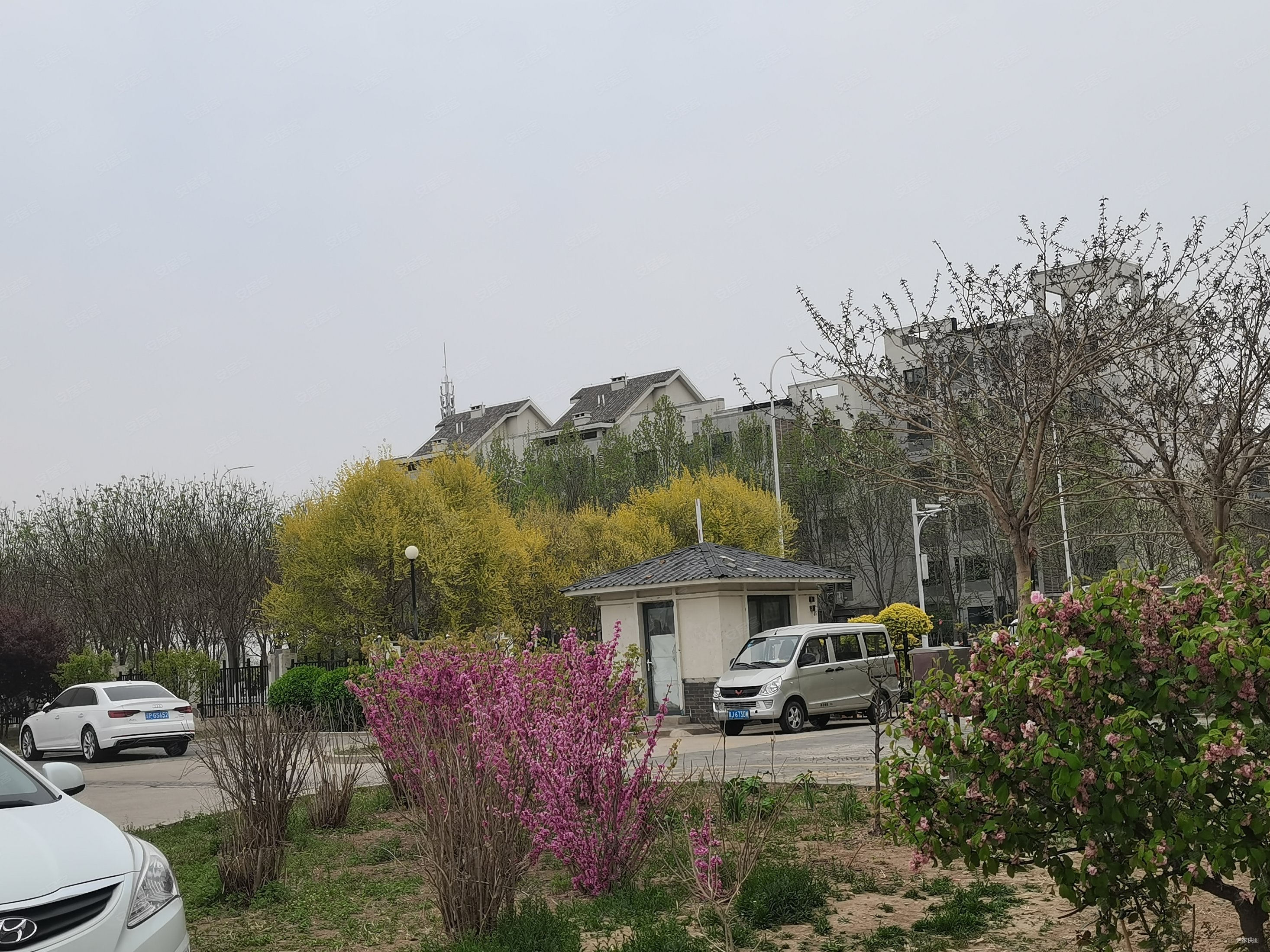 密度低 南北通透 精装可拎包入住 中间好楼层 大两居 房龄新,檀香园