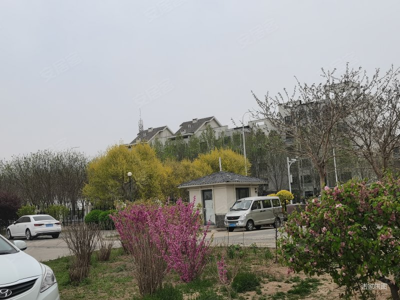 小站 精装好房 楼层好 大两房 南北通透 居住密度低 房龄新,檀香园