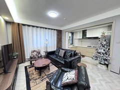 乌鲁木齐新市美居物流园长春路 友好花田旁 精装两室美式风 拎包入住 随时看房出租房源真实图片