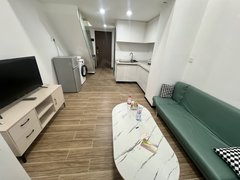 东莞石龙新城区中信凯旋湾(商住楼) 2室1厅1卫  电梯房 精装修32平米出租房源真实图片