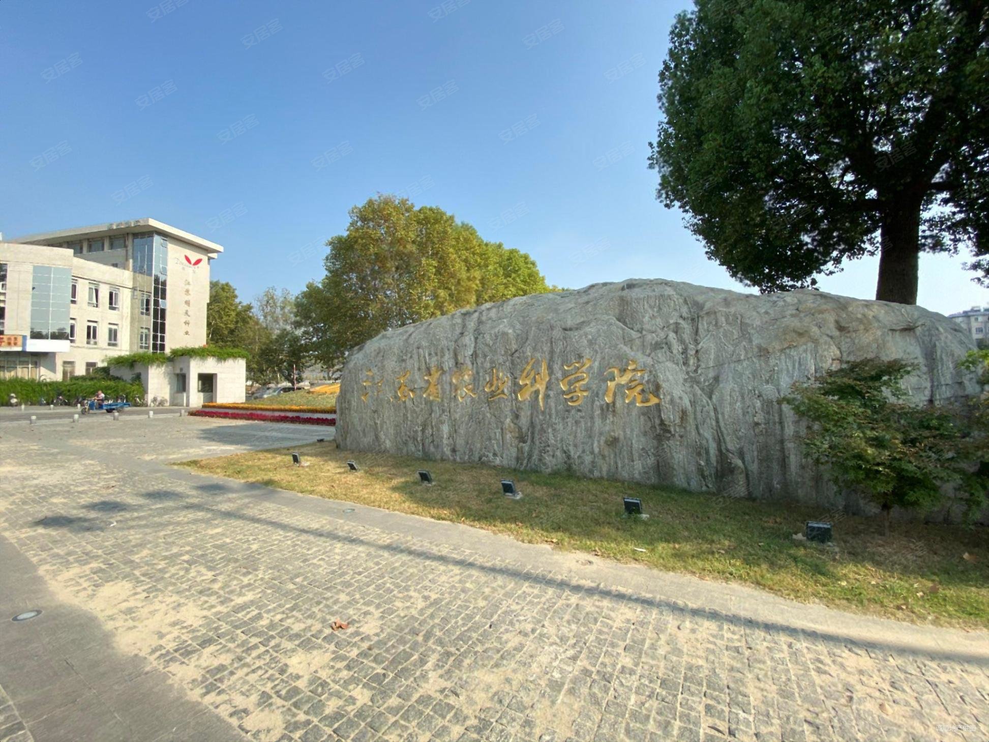 钟灵街地铁 农科院 带电梯 体育学院 南理工 房龄新 环境好,江苏省农