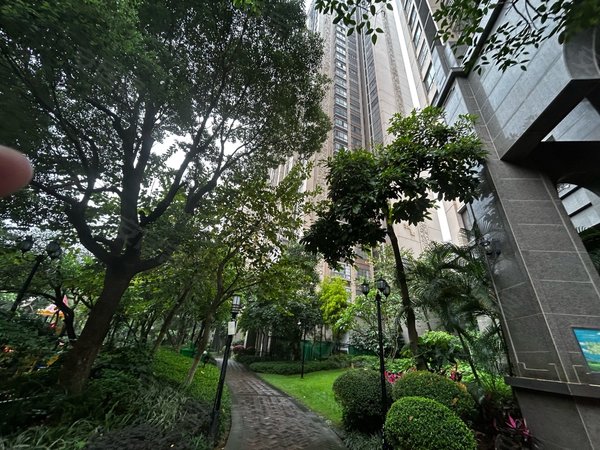 南宁兴宁区政府金源悦府吾悦广场旁 南北通南北通透温馨三房出租房源