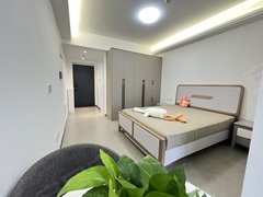 深圳龙华莱蒙水榭春天精致实拍!上塘地铁口全新大一房!民水民电燃气!车位充足!开阔出租房源真实图片