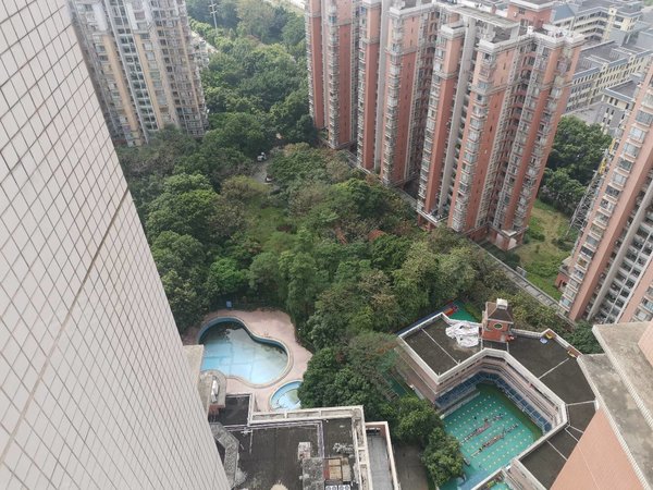 【多图】芳村花园,坑口租房,一号线地铁坑口站 芳村花园大型生活小区