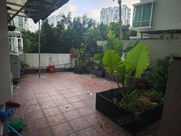 深圳福田景田北天然居福外本部大露台三房,陪读专用,东南向安静出租