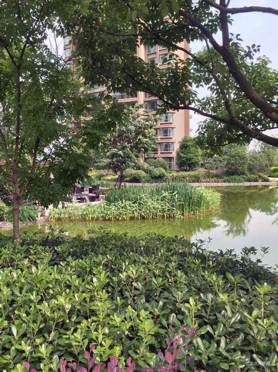 南京房产网>南京二手房>江宁二手房>九龙湖二手房>藏龙御景>