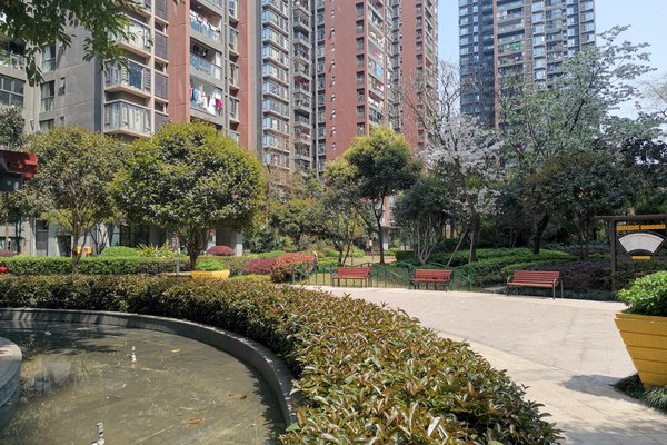 鲁能星城五街区怎么样,鲁能星城五街区周边房产中介经纪人评价-重庆