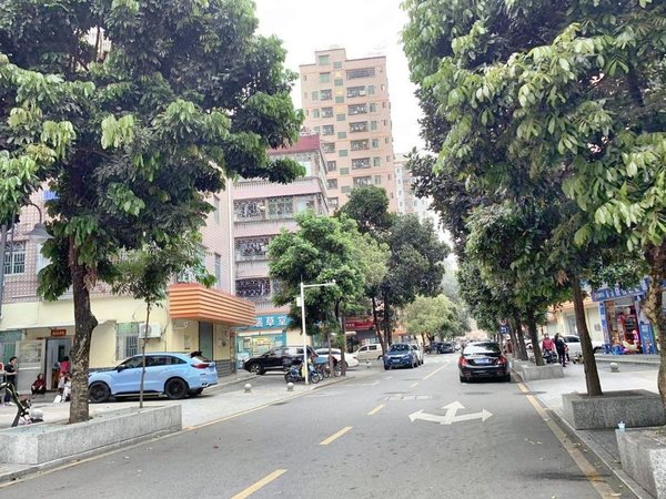 坪洲租房,可短租一个月 近地铁 民水民电 押一,宝安租房-深圳58安居客