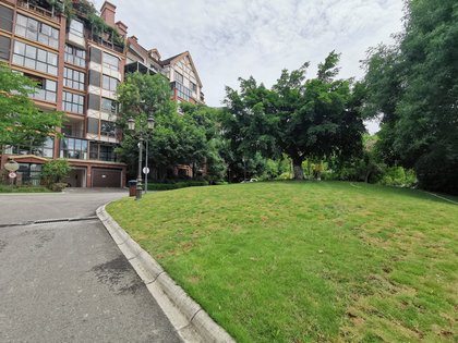 成都小区 金堂小区 金堂城区小区 伊顿小镇(别墅)