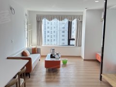 全新出租，江东新区，中骏世界城公寓，复式两房900起
