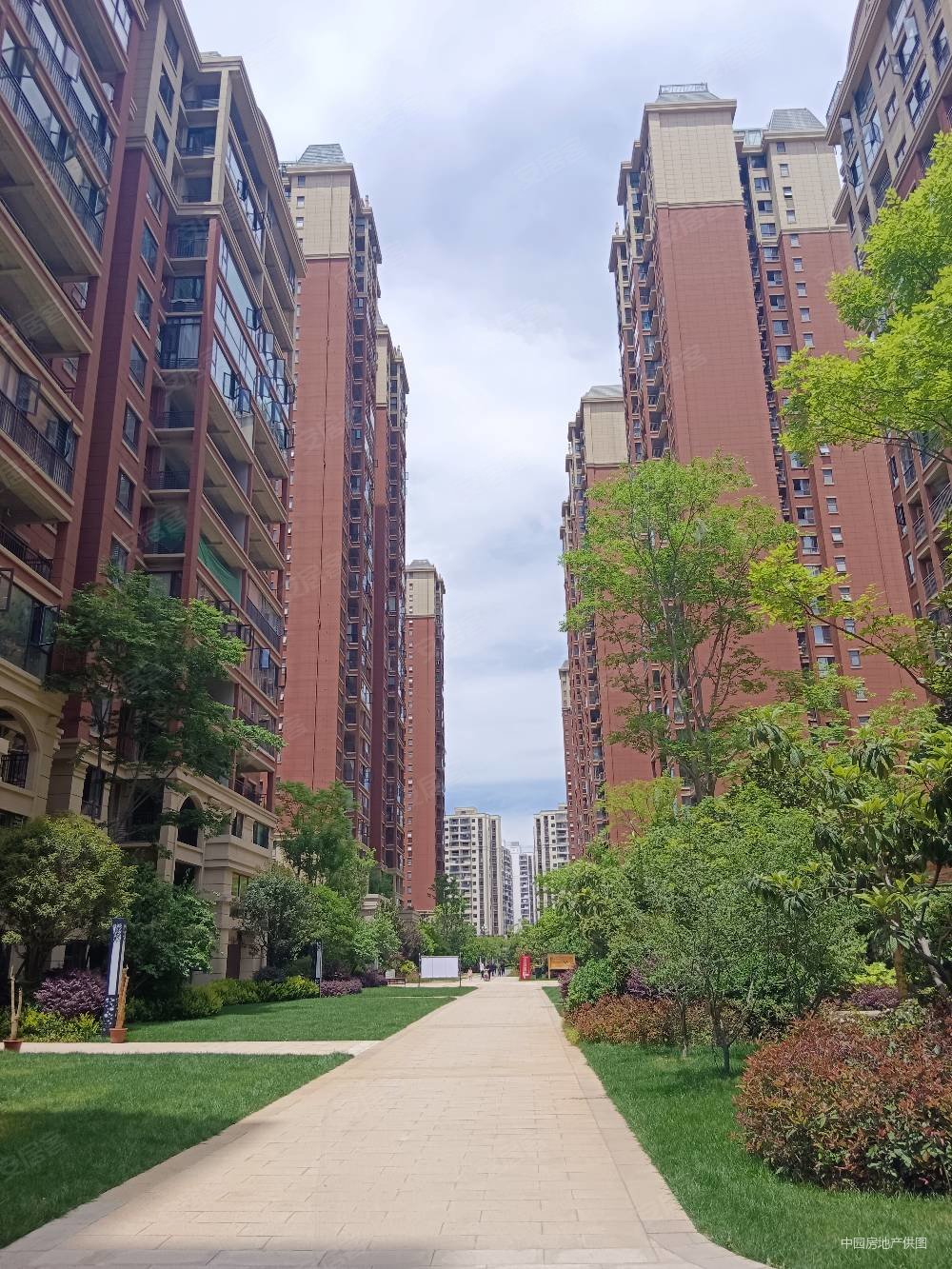 合景启城3室2厅2卫128㎡东68.8万