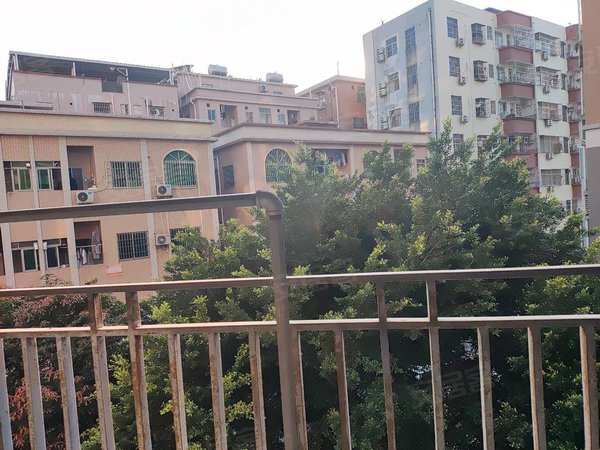 【多图】富佳花园,金洲租房,进港大道 富佳花园新2房 拎包入住 随时