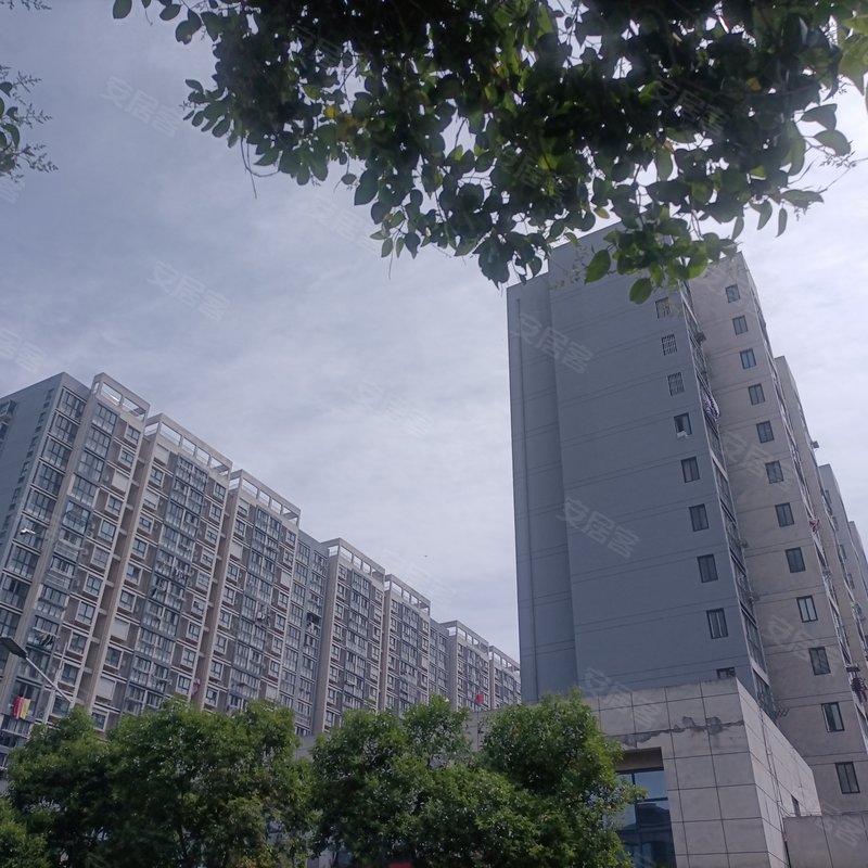 杉湾花园(六期)小区详情,房价走势,房源,业主论坛】- 扬州58同城