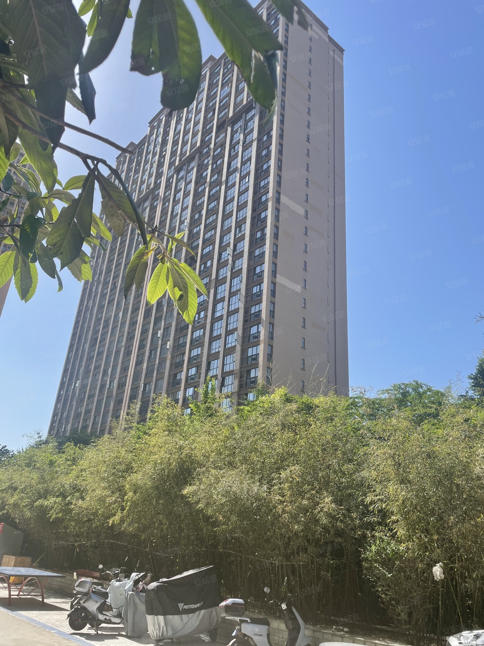 西安房产网>西安二手房>碑林二手房>西安交通大学二手房>常春藤花园