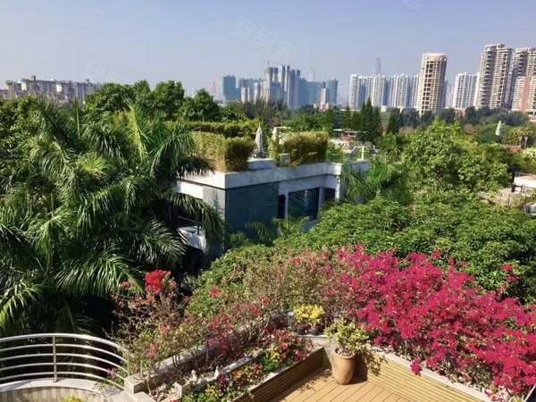 深圳南山华侨城东方花园小高层,家私全齐,装修保养好!