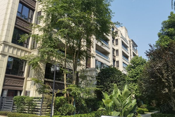 金科天元道(一期四组团)