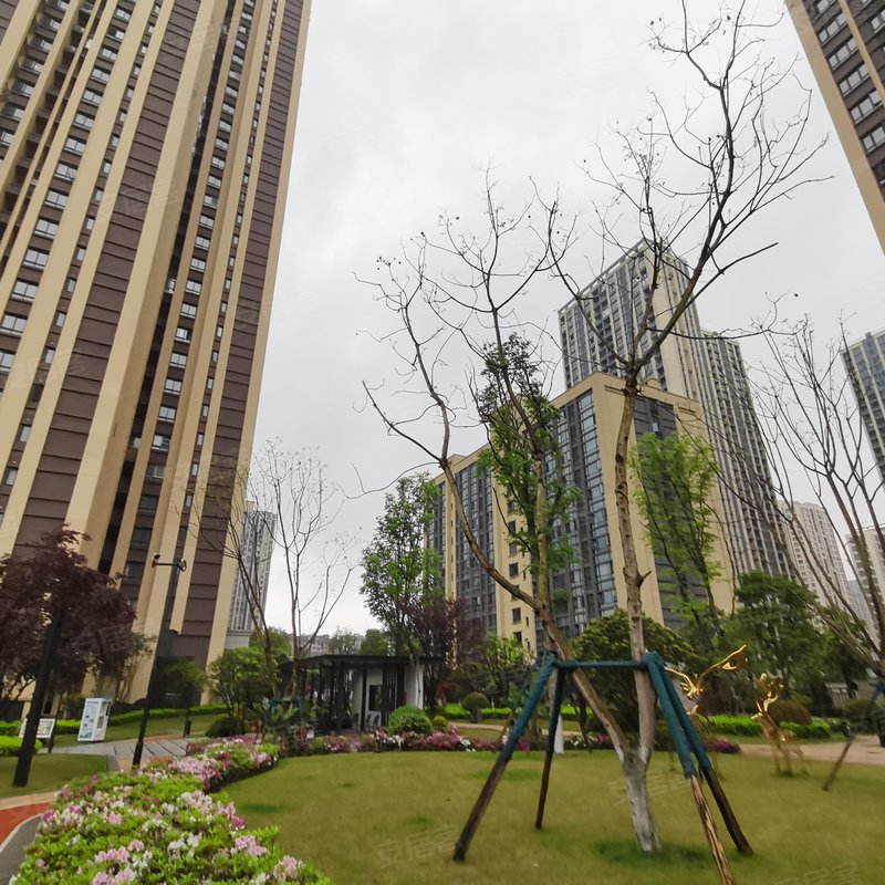 金科天宸五街区小区详情,房价走势,房源,业主论坛】- 重庆58同城