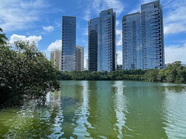 深圳南山华侨城新天鹅堡(一二期)天鹅湖全新豪装 初次放租 客厅大阳台