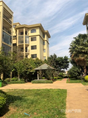 全款来 万城米兰春天 步梯4楼全新精装3房2厅2卫