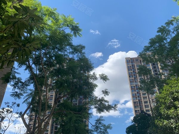 重庆江北寸滩港城印象(西区)五里坪公交车站旁精装修大三房出租出租