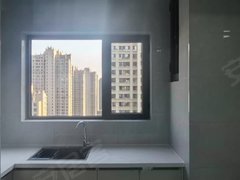 唐山路北蓝天楼吾悦广场南侧 远洋城附近 凤凰大都会小一室出租房源真实图片