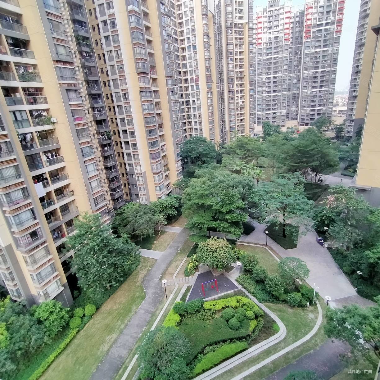 博澳城4房3卫户型方型南北对流业主自住