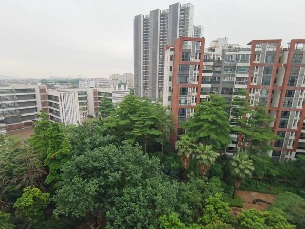 广州海珠琶洲雅郡花园雅郡花园 三期 四房 南向 家私电器齐 看房方便