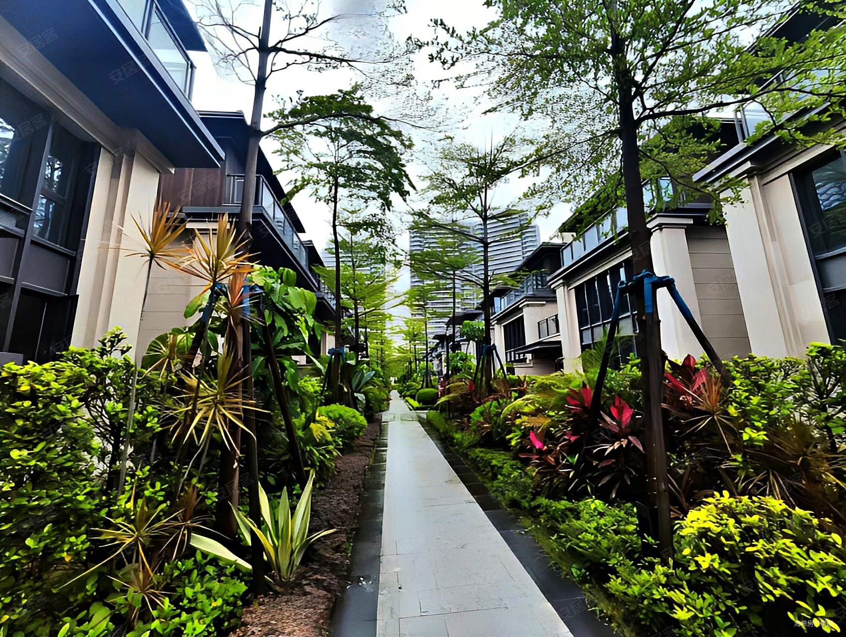 保利叁仟栋二期