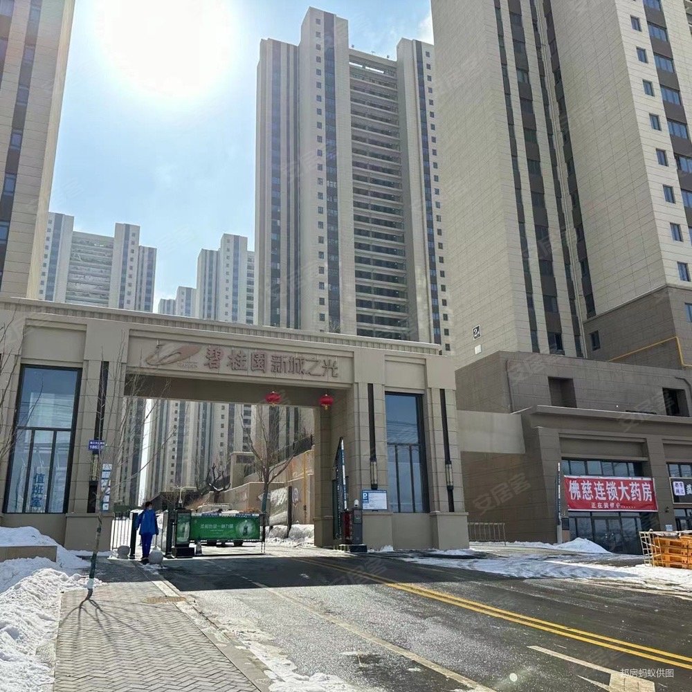 碧桂园新城之光